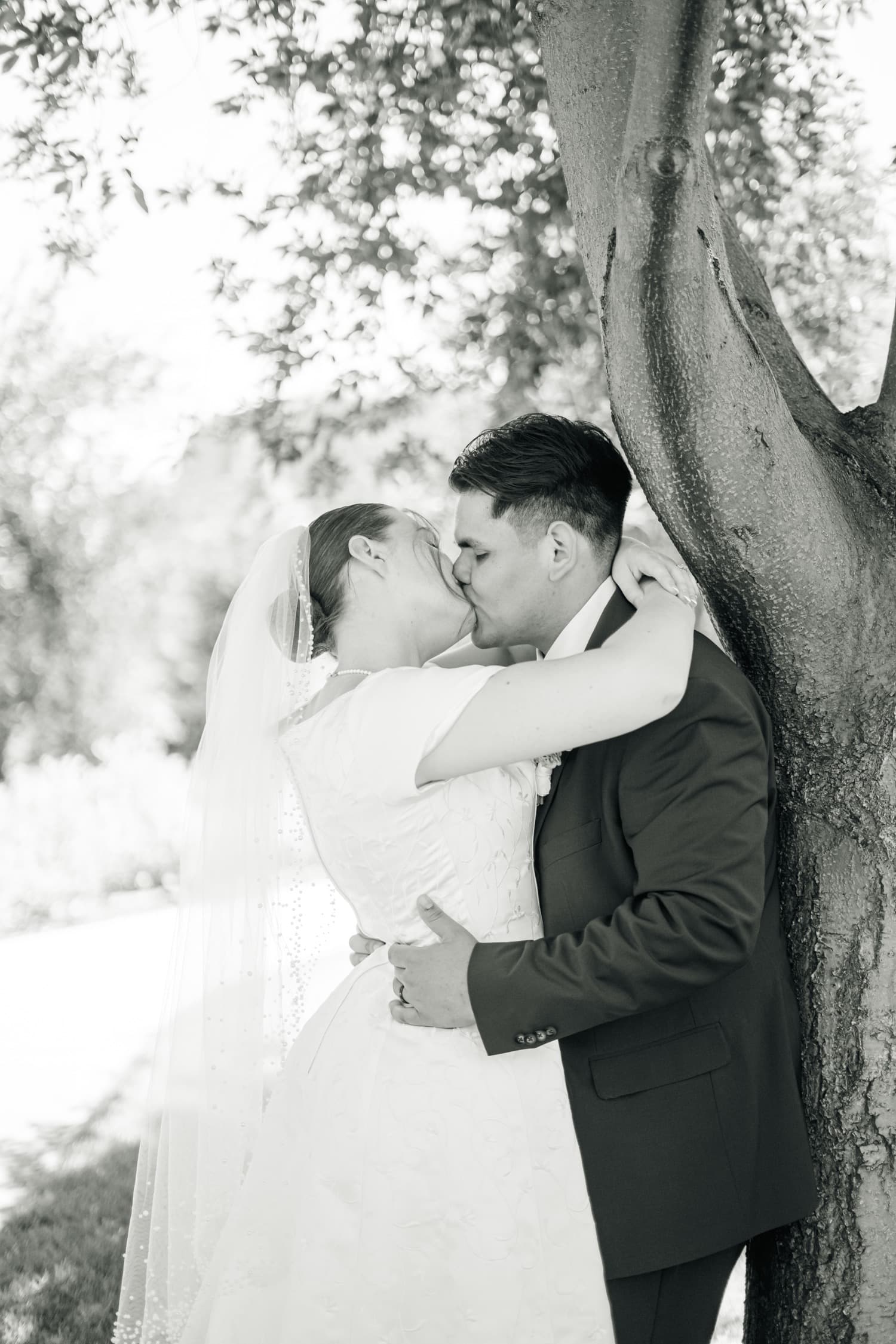 Bodas 12